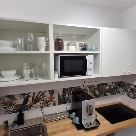 Apartman Cozy Old Town Eugen Carada Street *