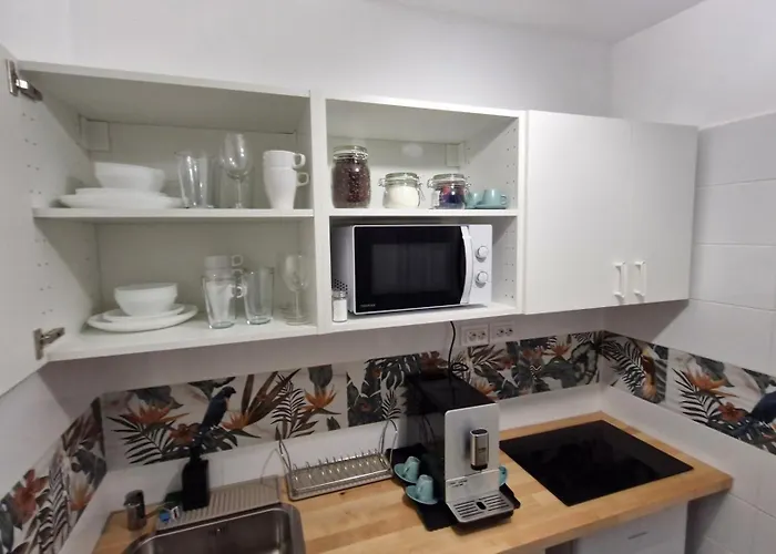 Apartman Cozy Old Town Eugen Carada Street *